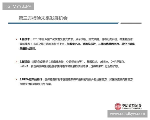 广州与深圳羽毛球队赛后复盘分析团队意识与战术执行的深度探讨 广州与深圳羽毛球队赛后复盘分析团队意识与战术执行的深度探讨