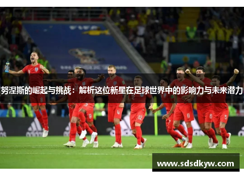 努涅斯的崛起与挑战：解析这位新星在足球世界中的影响力与未来潜力
