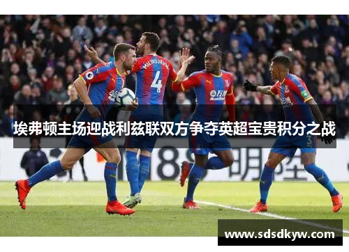埃弗顿主场迎战利兹联双方争夺英超宝贵积分之战